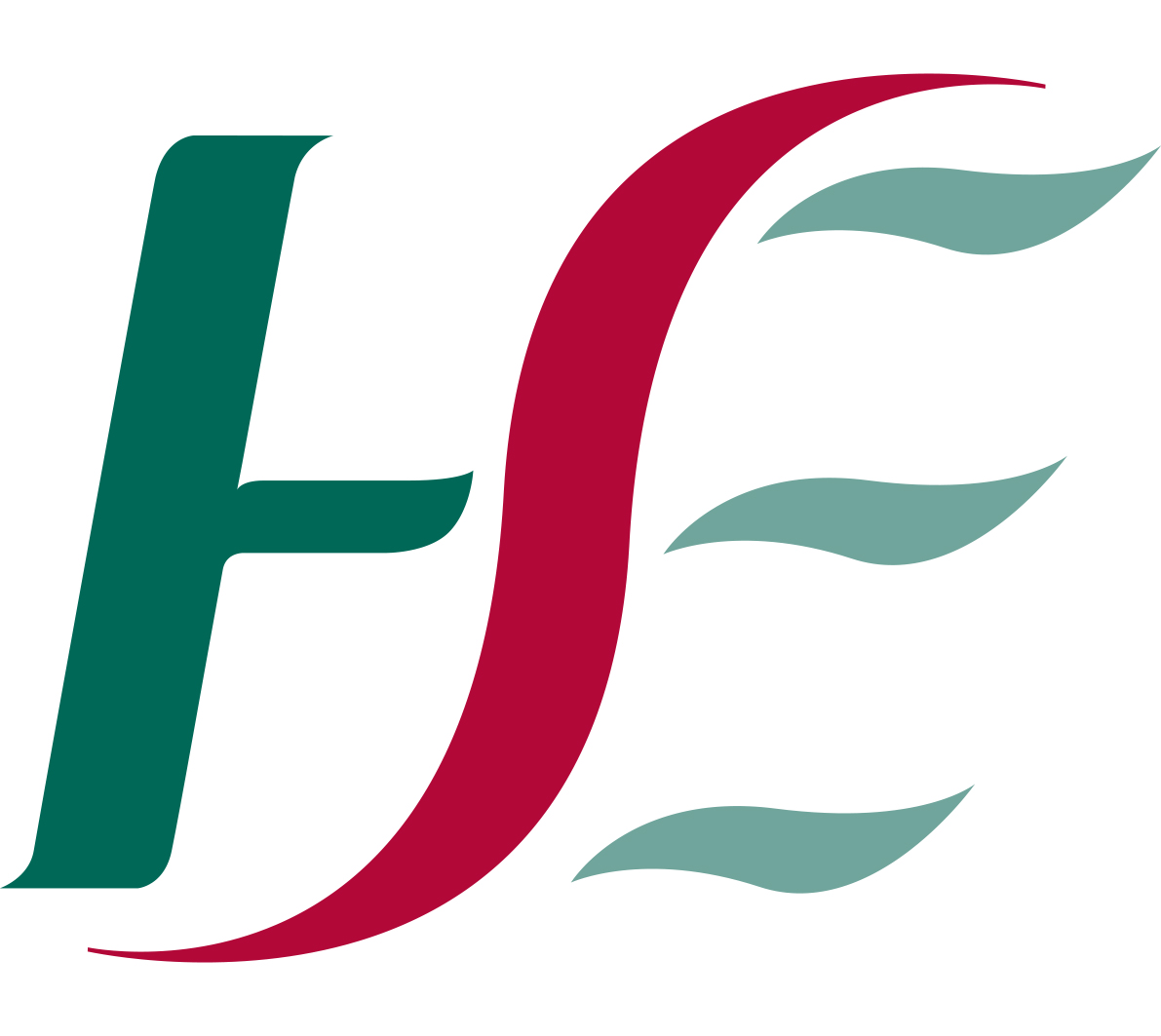 HSE Ireland